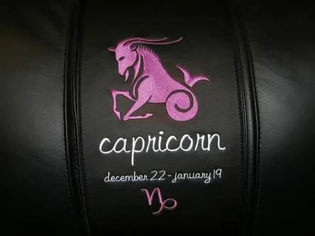 Capricorn Pink Logo Panel