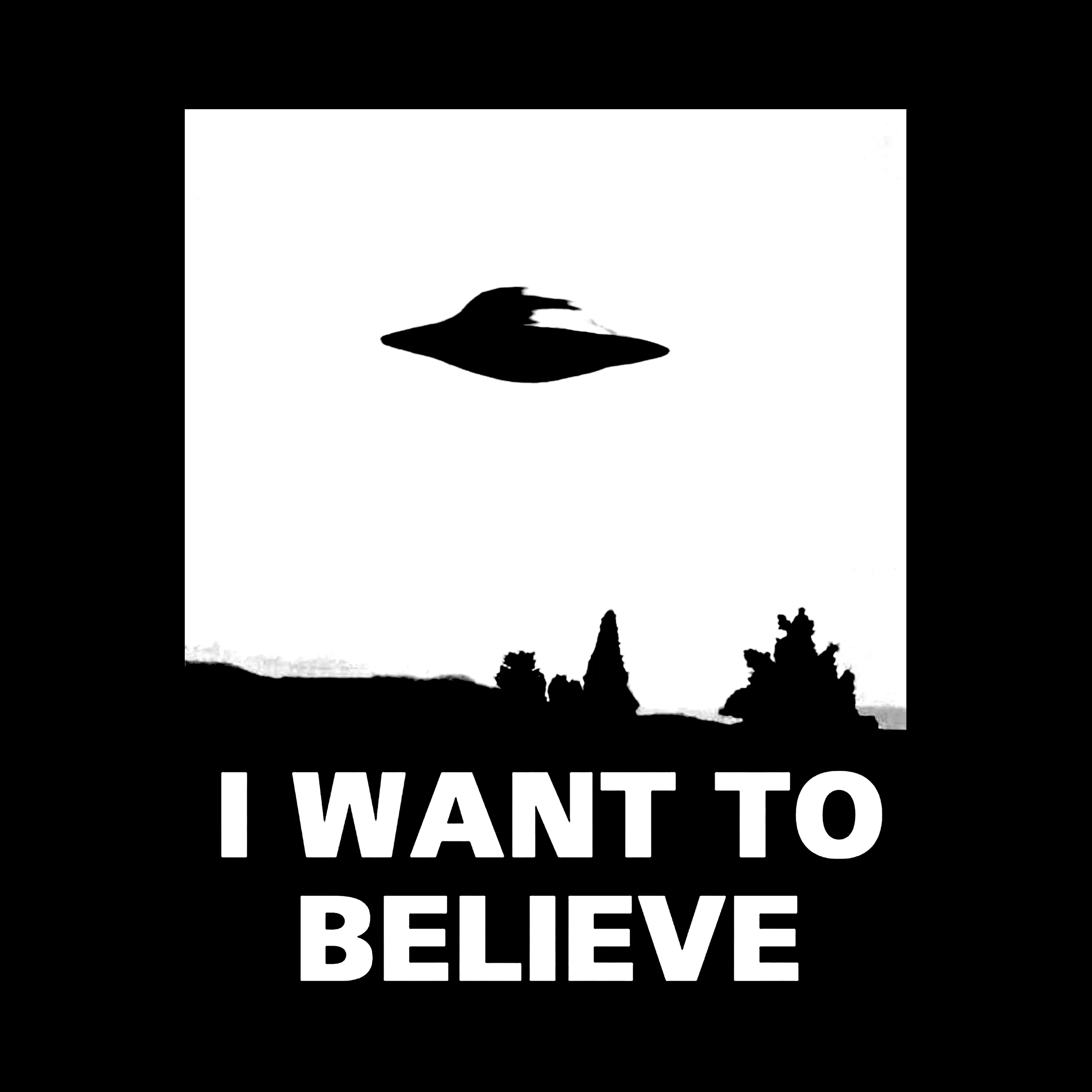 I Want To Believe Slim Fit Tee